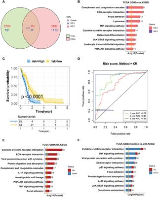 Transcriptome and single-cell analysis reveal the contribution of immunosuppressive microenvironment for promoting glioblastoma progression